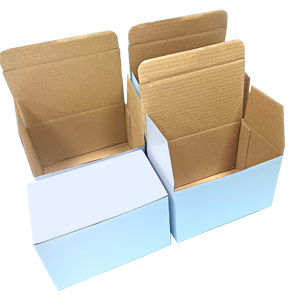 Outdoor Wall Lantern Packaging Boxes