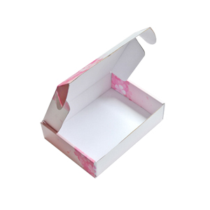 Multi-colored Dental Box